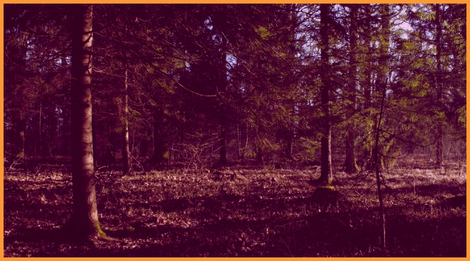 Stress Relief Hypnotherapy