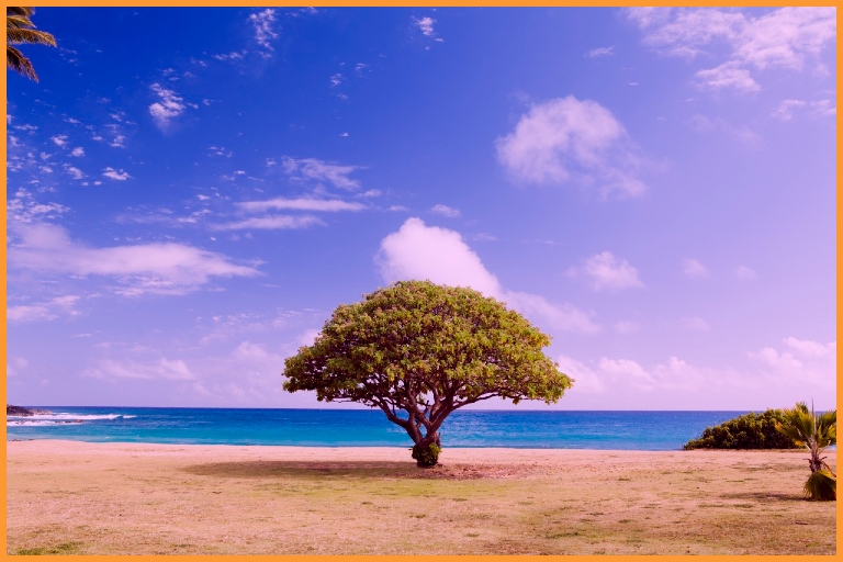 Corporate Hypnotherapy in Southampton Boost Sales, Confidence and Team Performance